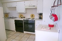 Photo #11